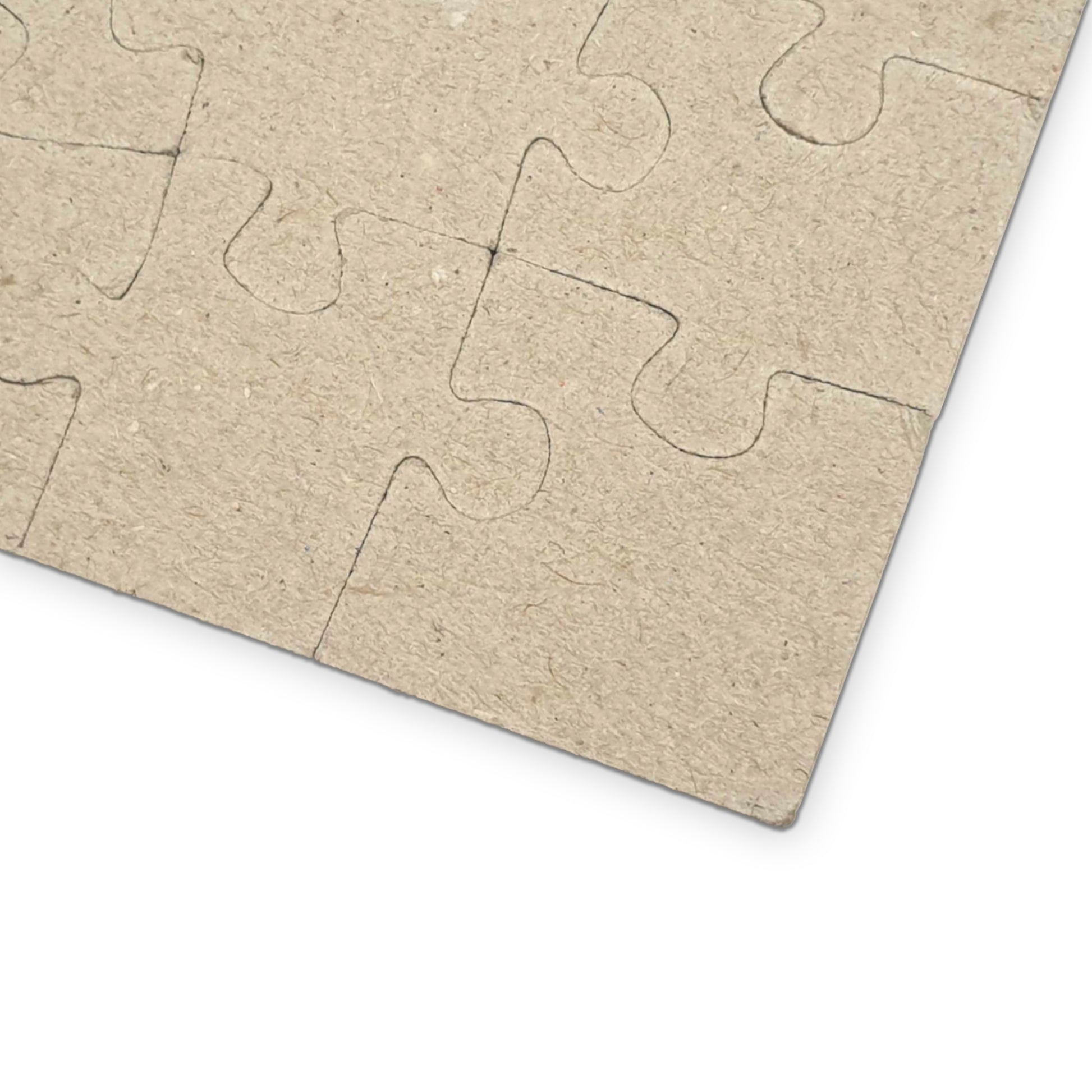 Player Point Pursuit Puzzle (110, 252, 520, 1014-piece)